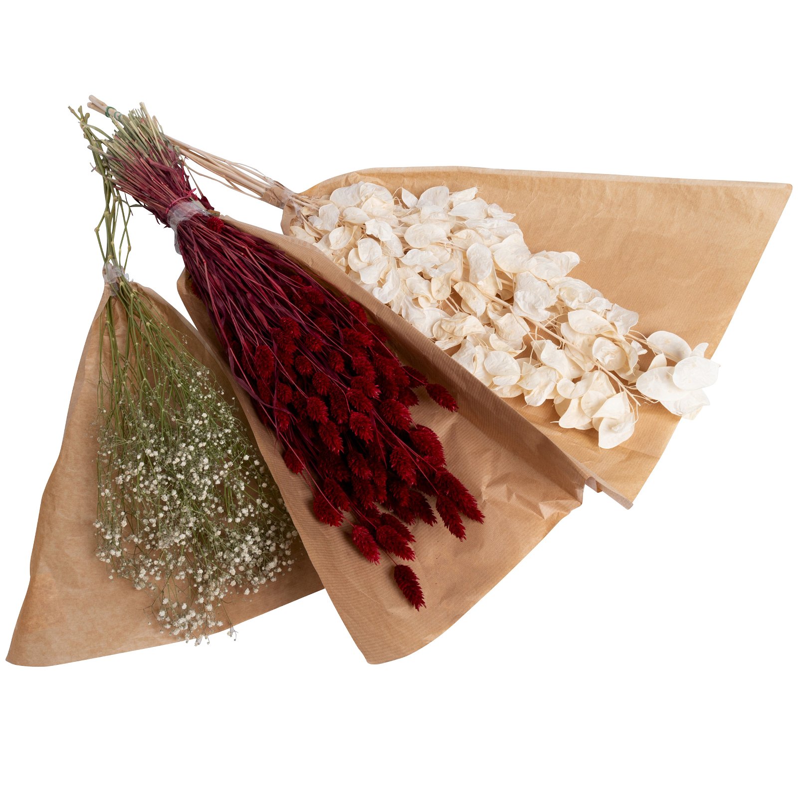 Trockenblumen-Set Rot-Weiß-Natur, 3er-Set, Länge ca. 80 cm