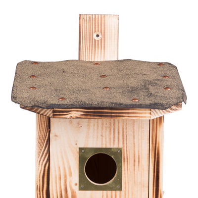 Kölle Nistkasten für Stare aus Fichtenholz mit Dachpappe