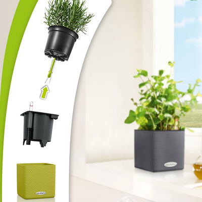 Lechuza 'Cube Color 14', sandbraun, ca. 14 x 14 x H 13,5 cm