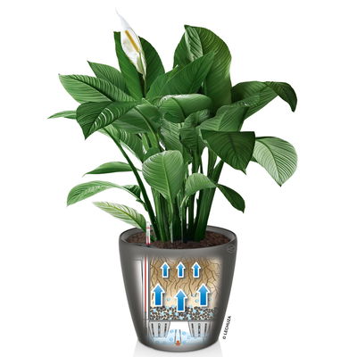 Lechuza 'Classico LS 43', taupe, ca. Ø 43 x H 40 cm Lechuza 'Classico LS 43', taupe, ca. Ø 43 x H 40 cm