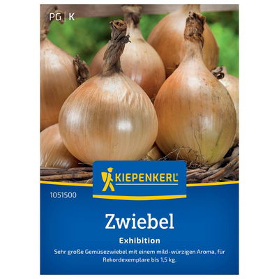 Gemüsezwiebel 'Exhibition' Gemüsezwiebel 'Exhibition'