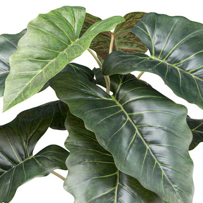 Kunstpflanze Taropflanze, Höhe ca. 66 cm Kunstpflanze Taropflanze, Höhe ca. 66 cm