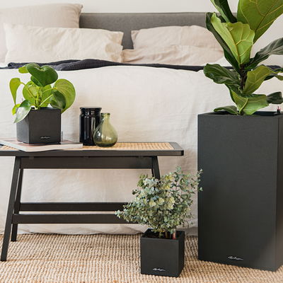 Lechuza 'Canto Stone 14', graphitschwarz, ca. 14 x 14 x H 13,5 cm Lechuza 'Canto Stone 14', graphitschwarz, ca. 14 x 14 x H 13,5 cm