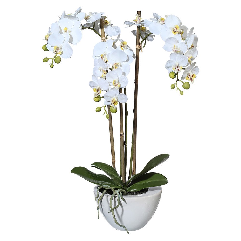 Kunstpflanze Mini-Orchidee Phalaenopsis weiß, in Keramikschale, ca. 51 cm