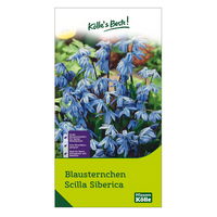 Blausternchen (Scilla Siberica) 30 Blumenzwiebeln