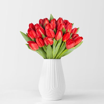30 rote Tulpen