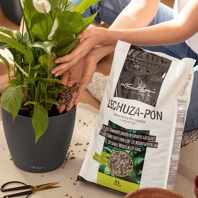 Lechuza Pon Pflanzsubstrat, 30 Liter