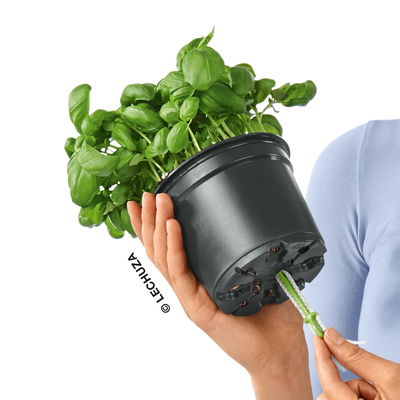 Lechuza 'Green Wall Home Kit Color', schiefergrau, ca. 48 x 15 x H 14 cm