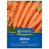 Saatgut Möhre 'Vollenda'