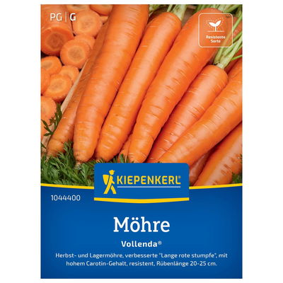 Saatgut Möhre 'Vollenda'