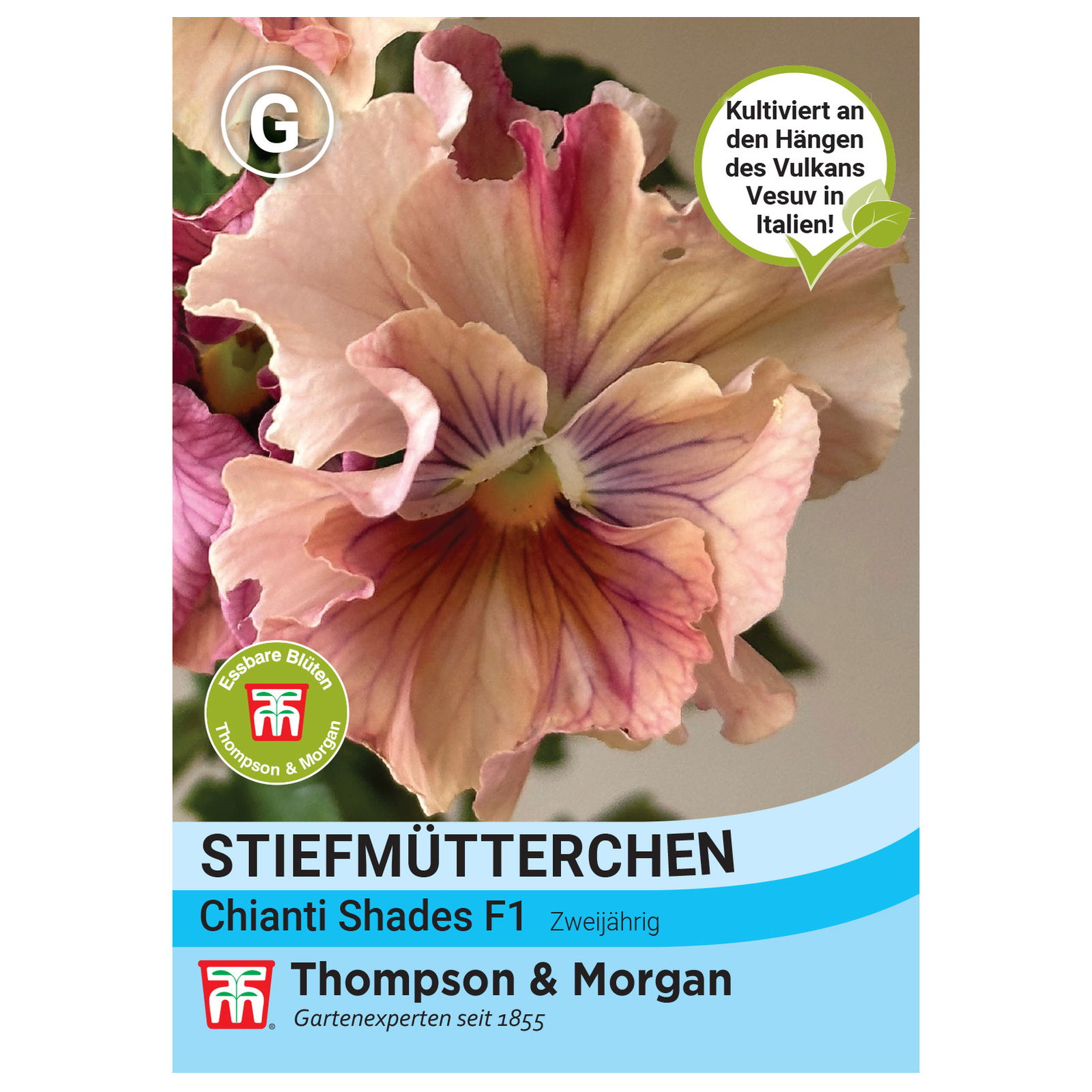 Thompson & Morgan Saatgut Stiefmütterchen 'Chianti Shades', bunt