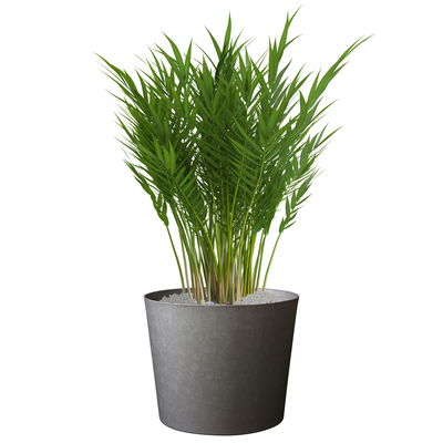 Eda Pflanzgefäß 'Element', schiefer, ca. Ø 50 cm Eda Pflanzgefäß 'Element', schiefer, ca. Ø 50 cm