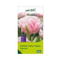 Tulpen 'Foxtrott', rosa, 7 Blumenzwiebeln