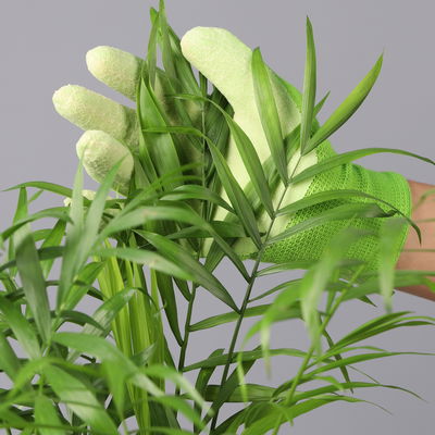 Bergpalme mit Übertopf Vibes gelb, Topf-Ø 12 cm, Höhe ca. 30 cm, 2er-Set