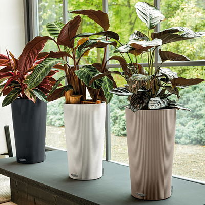 Lechuza 'Cilindro Color 32', sandbraun, ca. Ø 32 x H 56 cm