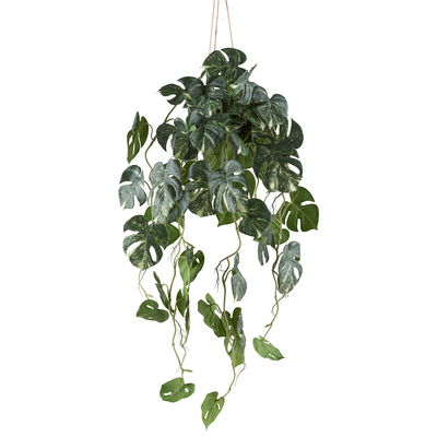 Kunstpflanze Splitphilodendron variegata, Höhe ca. 80 cm