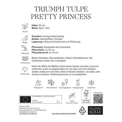 Triumph Tulpen 'Pretty Princess', rosa, Größe 11/12, 7 Blumenzwiebeln