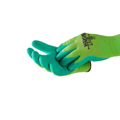 Kölle Handschuhe 'Evergreen' hellgrün/grün Kölle Handschuhe 'Evergreen' hellgrün/grün