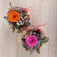 Workshop zu Rosenfreu