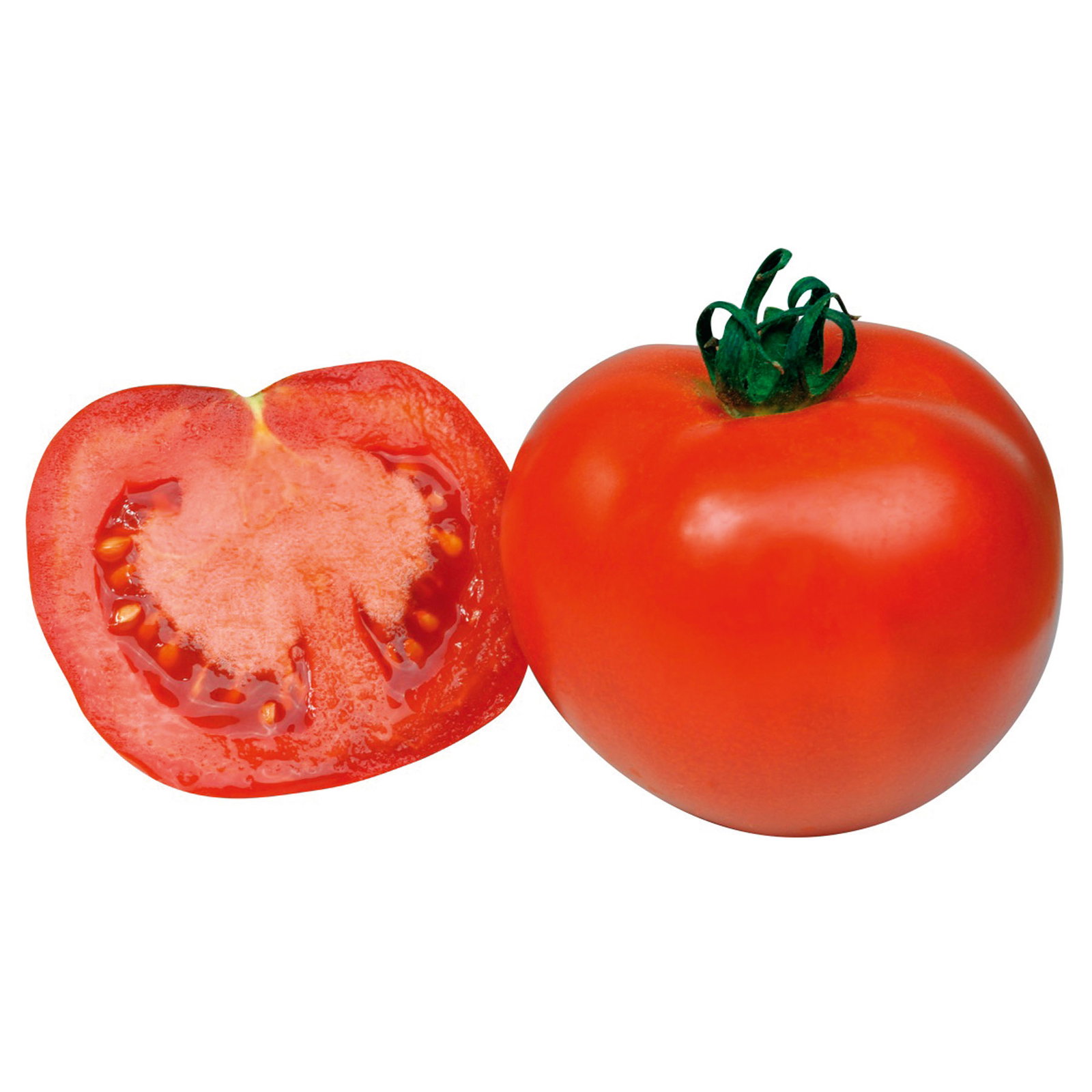 Bio Tomate Rot-Rund 'Previa', Topf-Ø 12 cm, 3 Pflanzen