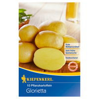 Kiepenkerl Pflanzkartoffel 'Glorietta®', gelb, ca. 900 g