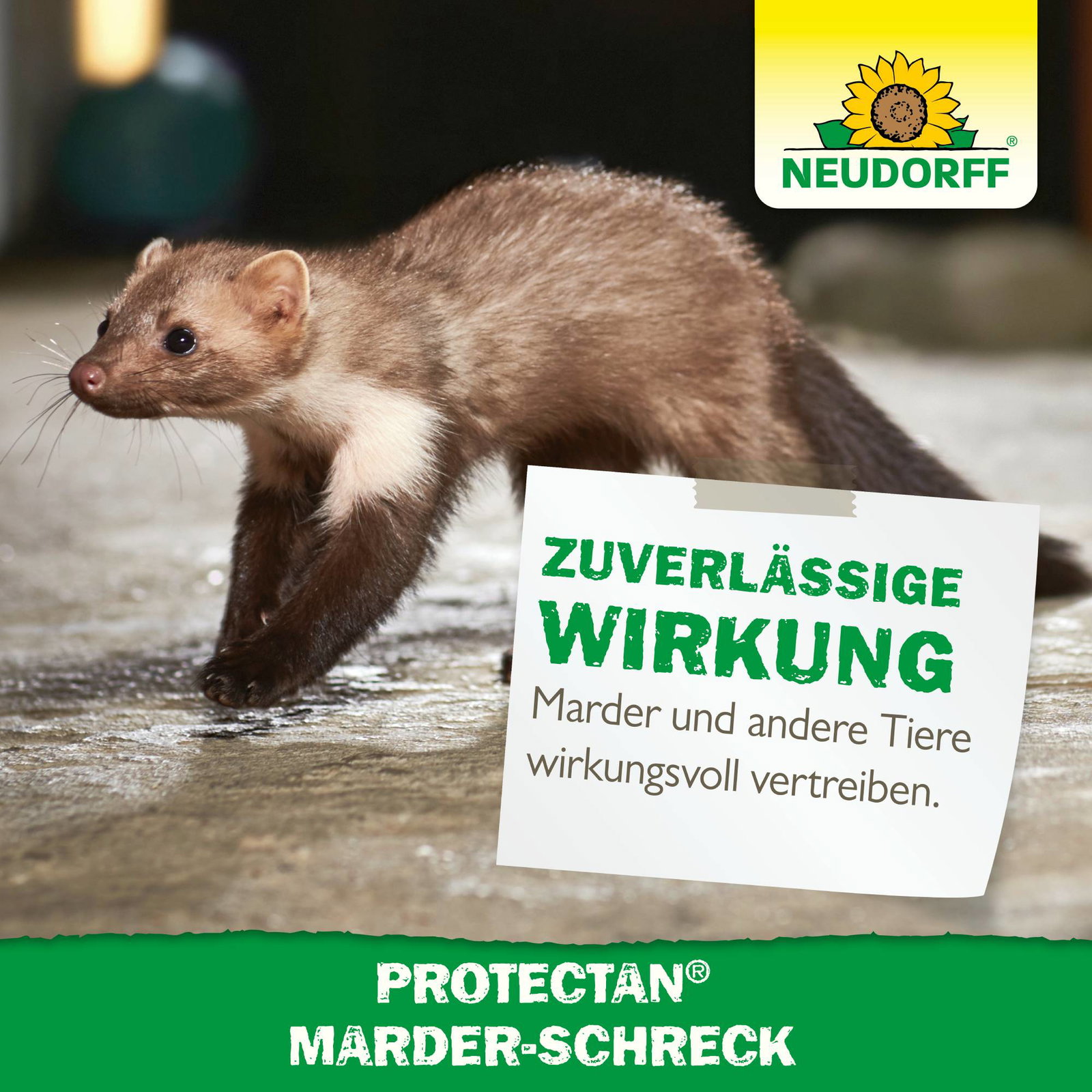 Neudorff Protectan® Marder-Schreck, 200 g Neudorff Protectan® Marder-Schreck, 200 g