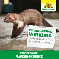 Neudorff Protectan® Marder-Schreck, 200 g Neudorff Protectan® Marder-Schreck, 200 g