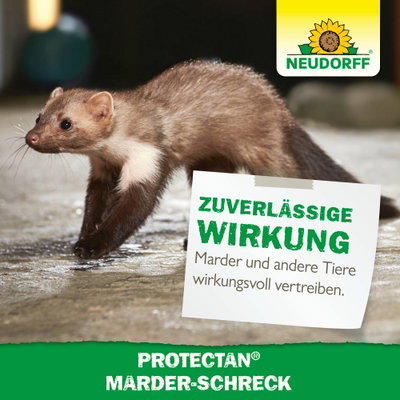 Neudorff Protectan® Marder-Schreck, 200 g Neudorff Protectan® Marder-Schreck, 200 g