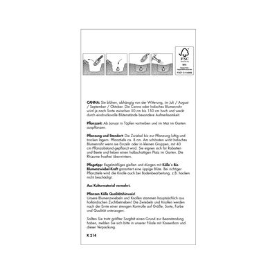 Indisches Blumenrohr Wymoning (Canna) orange, 1 Blumenzwiebel