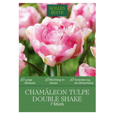 Tulpen 'Chamäleon Double Shake', 7 Zwiebeln, weiß, Gr. 12/+
