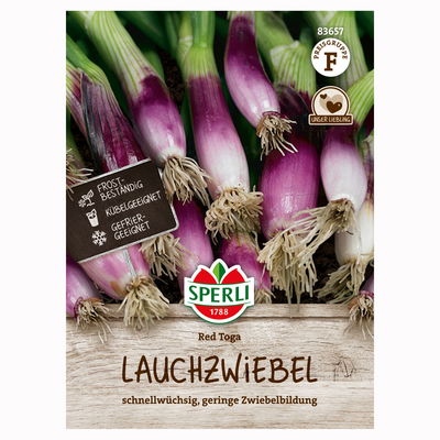 Gemüsesamen, Lauchzwiebel 'Red Toga', grün, lila Gemüsesamen, Lauchzwiebel 'Red Toga', grün, lila
