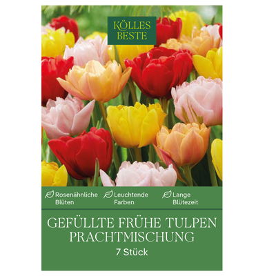 Gefüllte frühe Tulpen Prachtmischung, 7 Blumenzwiebeln