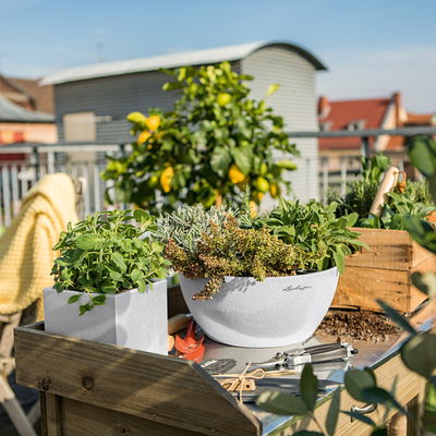 Lechuza 'Cubeto Stone 30', quarzweiß, ca. Ø 30 x 13,5 cm Lechuza 'Cubeto Stone 30', quarzweiß, ca. Ø 30 x 13,5 cm