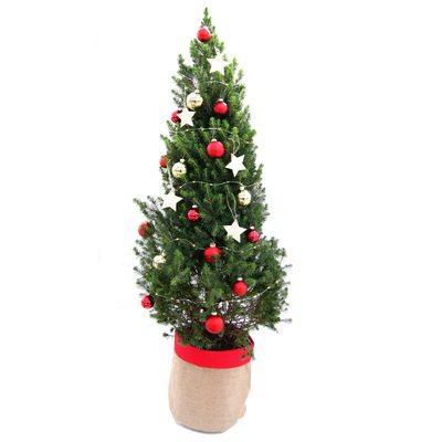 Weihnachtsbäumchen inkl. Deko, rot-gold, Höhe 120 cm, Topf-Ø 26 cm Weihnachtsbäumchen inkl. Deko, rot-gold, Höhe 120 cm, Topf-Ø 26 cm