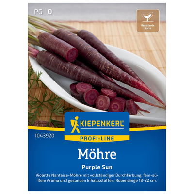 Saatgut, Möhre 'Purple Sun', lila, für ca. 5 Meter