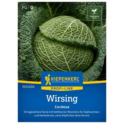 Kiepenkerl Saatgut Wirsing 'Cordesa®', grün Kiepenkerl Saatgut Wirsing 'Cordesa®', grün