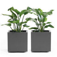 Euro 3 Plast Pflanzkasten 'Kebe', anthrazit, ca. 39,5 x 39,5 x H 39,5 cm
