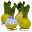 Hyazinthe in Wachs, Wachs und Blüte zufällig, gelb, 4er-Set