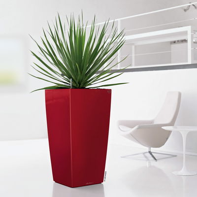 Lechuza 'Cubico 40', scarlet-rot, ca. 40 x 40 x H 75 cm Lechuza 'Cubico 40', scarlet-rot, ca. 40 x 40 x H 75 cm