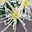 Chrysantheme 'Chrysanne® Fireworks Cream', creme, Topf-Ø 13 cm, 3 Pflanzen