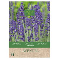Kölle Bio Saatgut Lavendel, lila