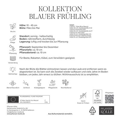 Kölles Beste Kollektion 'Blauer Frühling®', 25 Blumenzwiebeln