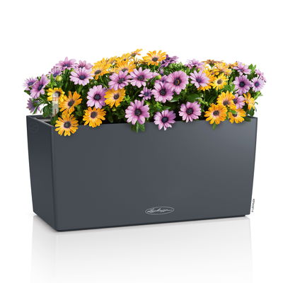 Lechuza 'Balconera Color 40' schiefergrau, ca. 40 x 19 x H 19 cm