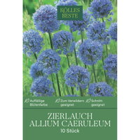 Kölles Beste Zierlauch, Allium Caeruleum, blau, 10 Blumenzwiebeln Kölles Beste Zierlauch, Allium Caeruleum, blau, 10 Blumenzwiebeln