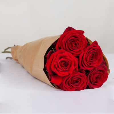 5 rote Rosen 'Red Naomi' 5 rote Rosen 'Red Naomi'