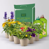 Pflanzenkreation 'Swimmingpool', 6 Pflanzen inkl. Erde und Dünger