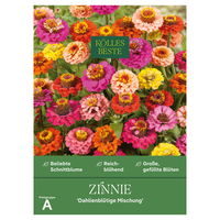 Kölles Beste Blumensamen, Zinnien 'Dahlienblütige Mischung'
