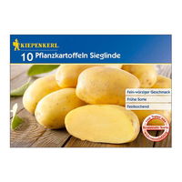 Pflanzkartoffel,  Solanum tuberosum 'Sieglinde', gelbe Schale, 10 Stück, 900 g