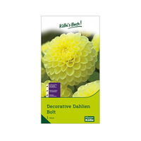 Decorative Dahlie 'Bolt', gelb, Größe 1, 1 Blumenknolle