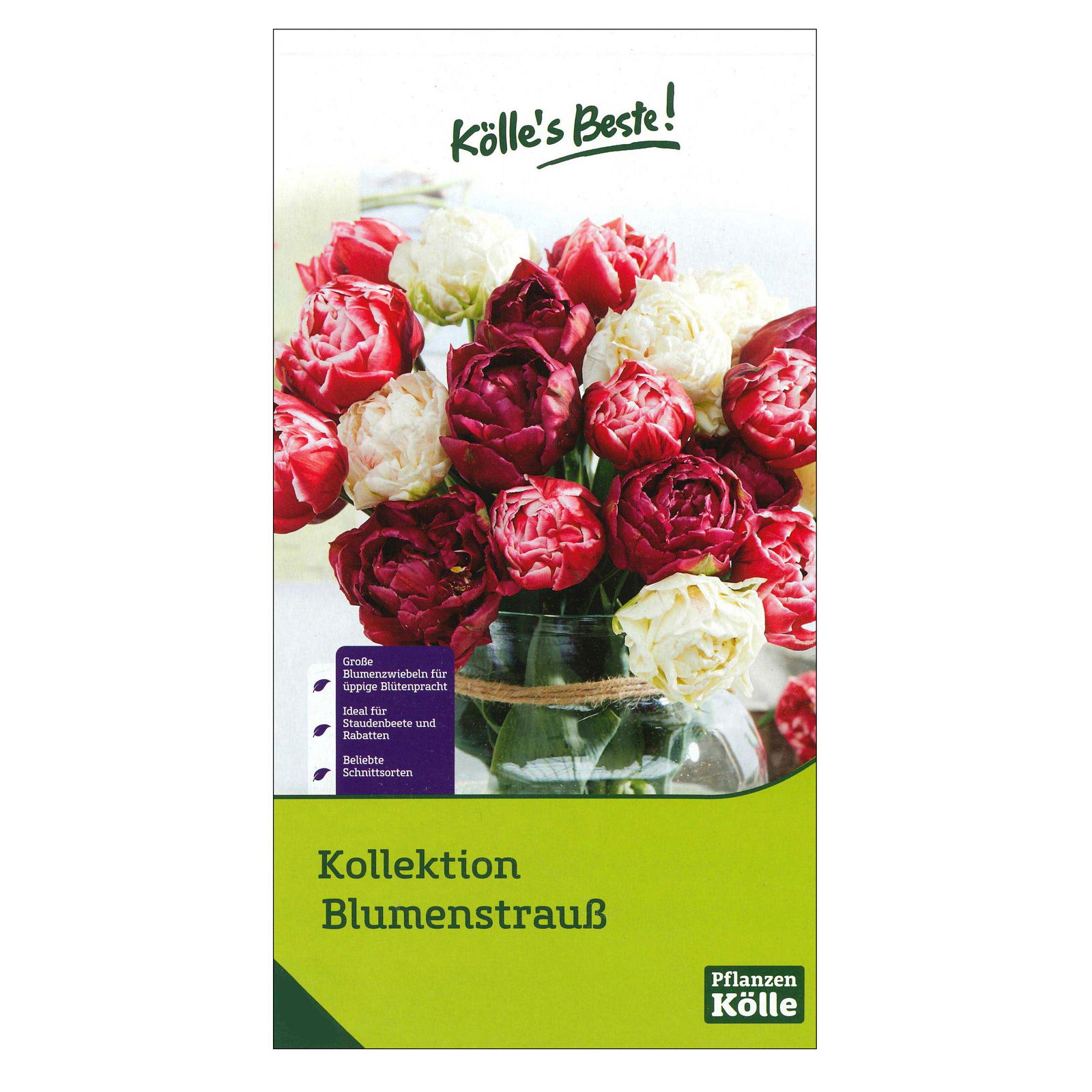 Kollektion Blumenstrauß, 15 Blumenzwiebeln